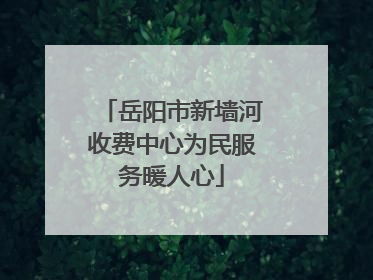 岳阳市新墙河收费中心为民服务暖人心