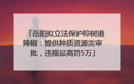 岳阳拟立法保护樟树港辣椒：提供种质资源需审批，违规最高罚5万