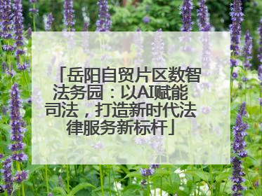岳阳自贸片区数智法务园：以AI赋能司法，打造新时代法律服务新标杆