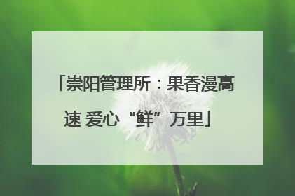 崇阳管理所：果香漫高速 爱心“鲜”万里
