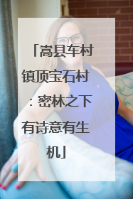 嵩县车村镇顶宝石村：密林之下有诗意有生机