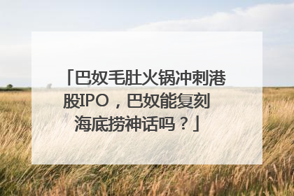 巴奴毛肚火锅冲刺港股IPO，巴奴能复刻海底捞神话吗？