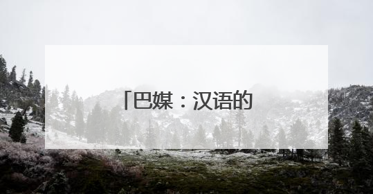 巴媒：汉语的未来就在眼前