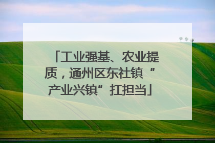 工业强基、农业提质，通州区东社镇“产业兴镇”扛担当