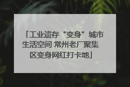 工业遗存“变身”城市生活空间 常州老厂聚集区变身网红打卡地