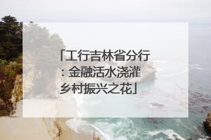 工行吉林省分行：金融活水浇灌 乡村振兴之花