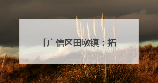 广信区田墩镇：拓宽“堵心路” 化解“心头刺”（图）