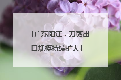 广东阳江：刀剪出口规模持续扩大