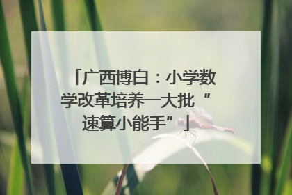 广西博白：小学数学改革培养一大批“速算小能手”