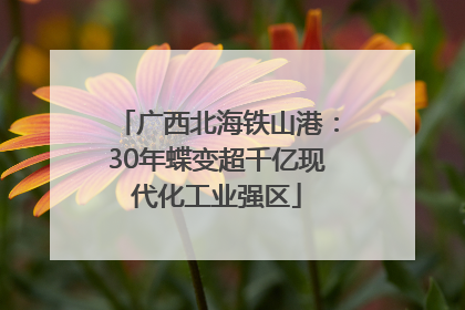 广西北海铁山港：30年蝶变超千亿现代化工业强区
