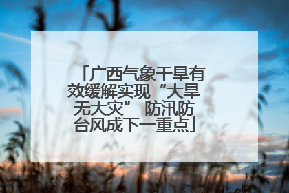 广西气象干旱有效缓解实现“大旱无大灾” 防汛防台风成下一重点