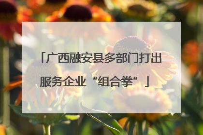 广西融安县多部门打出服务企业“组合拳”