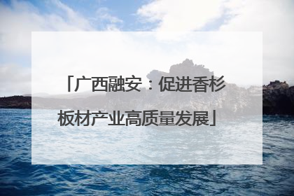 广西融安：促进香杉板材产业高质量发展