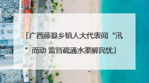 广西藤县乡镇人大代表闻“汛”而动 监督疏通水渠解民忧