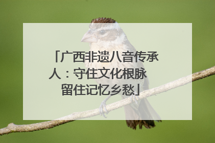 广西非遗八音传承人：守住文化根脉 留住记忆乡愁