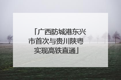 广西防城港东兴市首次与贵川陕粤实现高铁直通