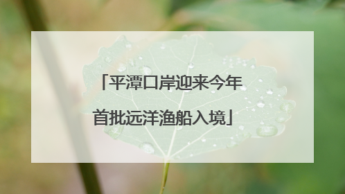平潭口岸迎来今年首批远洋渔船入境