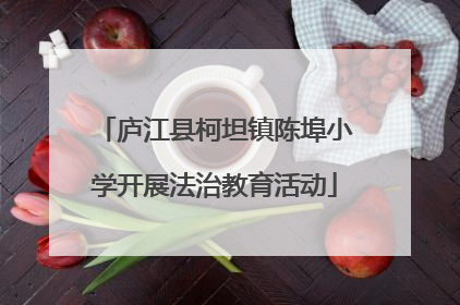 庐江县柯坦镇陈埠小学开展法治教育活动