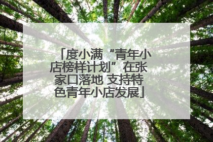 度小满“青年小店榜样计划”在张家口落地 支持特色青年小店发展