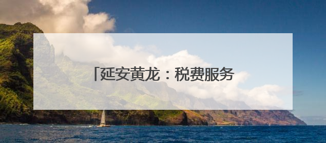 延安黄龙：税费服务“新”上加“心”