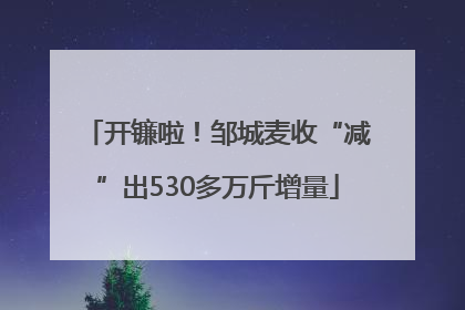 开镰啦！邹城麦收“减”出530多万斤增量