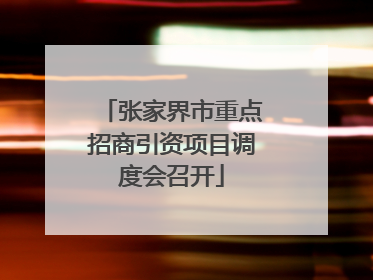 张家界市重点招商引资项目调度会召开