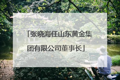 张晓海任山东黄金集团有限公司董事长