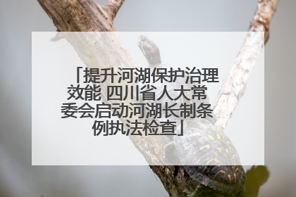 提升河湖保护治理效能 四川省人大常委会启动河湖长制条例执法检查