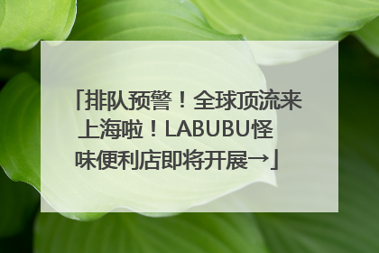 排队预警！全球顶流来上海啦！LABUBU怪味便利店即将开展→
