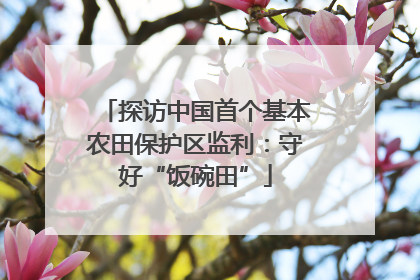 探访中国首个基本农田保护区监利：守好“饭碗田”