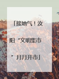 接地气！汝阳“文明集市”月月开市