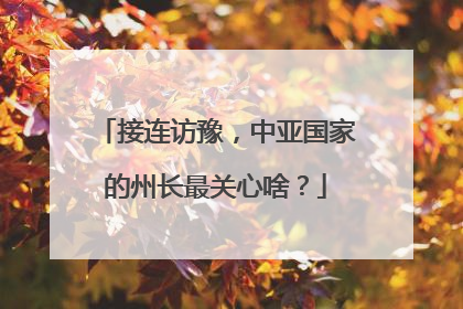 接连访豫，中亚国家的州长最关心啥？