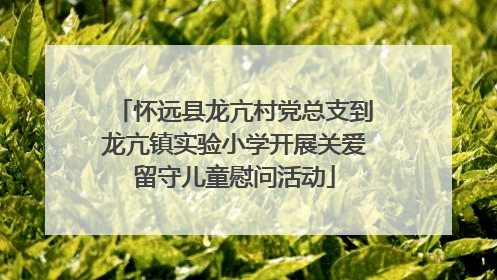 怀远县龙亢村党总支到龙亢镇实验小学开展关爱留守儿童慰问活动