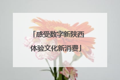 感受数字新陕西 体验文化新消费