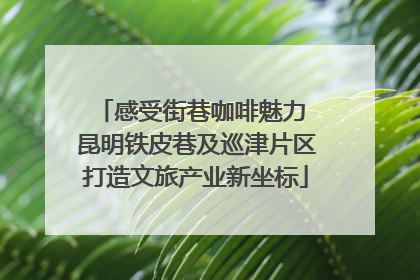 感受街巷咖啡魅力 昆明铁皮巷及巡津片区打造文旅产业新坐标