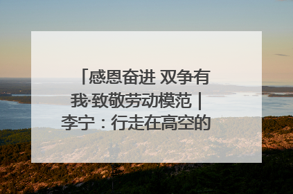 感恩奋进 双争有我·致敬劳动模范｜李宁：行走在高空的“电网卫士”