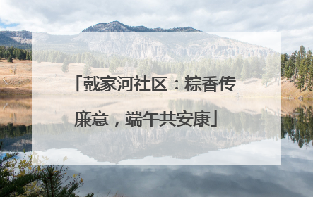 戴家河社区：粽香传廉意，端午共安康