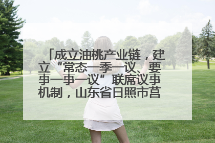成立油桃产业链，建立“常态一季一议、要事一事一议”联席议事机制，山东省日照市莒县果庄镇——13个党小组“全周期”育果