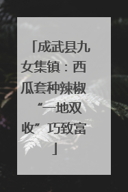 成武县九女集镇：西瓜套种辣椒 “一地双收”巧致富