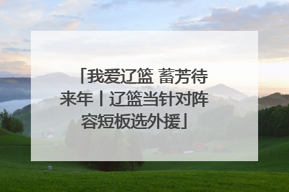 我爱辽篮 蓄芳待来年丨辽篮当针对阵容短板选外援