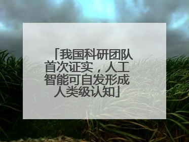 我国科研团队首次证实，人工智能可自发形成人类级认知