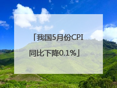 我国5月份CPI同比下降0.1%