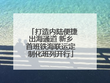 打造内陆便捷出海通道 新乡首班铁海联运定制化班列开行