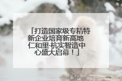 打造国家级专精特新企业培育新高地 仁和里·杭实智造中心盛大启幕！