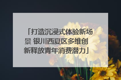 打造沉浸式体验新场景 银川西夏区多维创新释放青年消费潜力