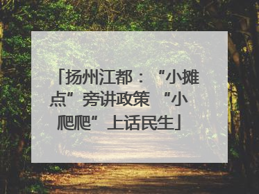扬州江都：“小摊点”旁讲政策 “小爬爬”上话民生