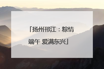 扬州邗江：粽情端午 爱满东兴