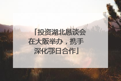 投资湖北恳谈会在大阪举办，携手深化鄂日合作