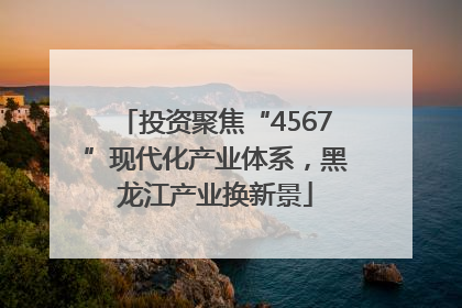 投资聚焦“4567”现代化产业体系，黑龙江产业换新景