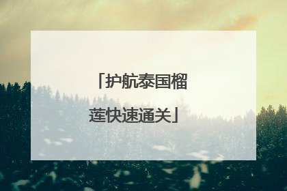 护航泰国榴莲快速通关